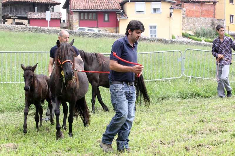 acas-asturcones-sueve