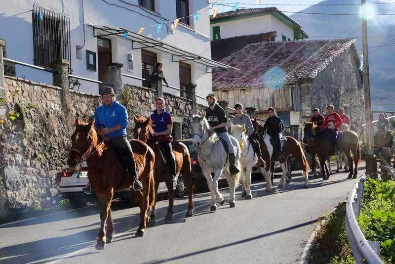 caballos-aguinal-ponga