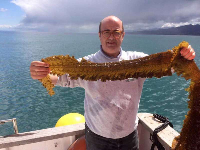 jos&eacute;-maria-osoro-algas-asturias