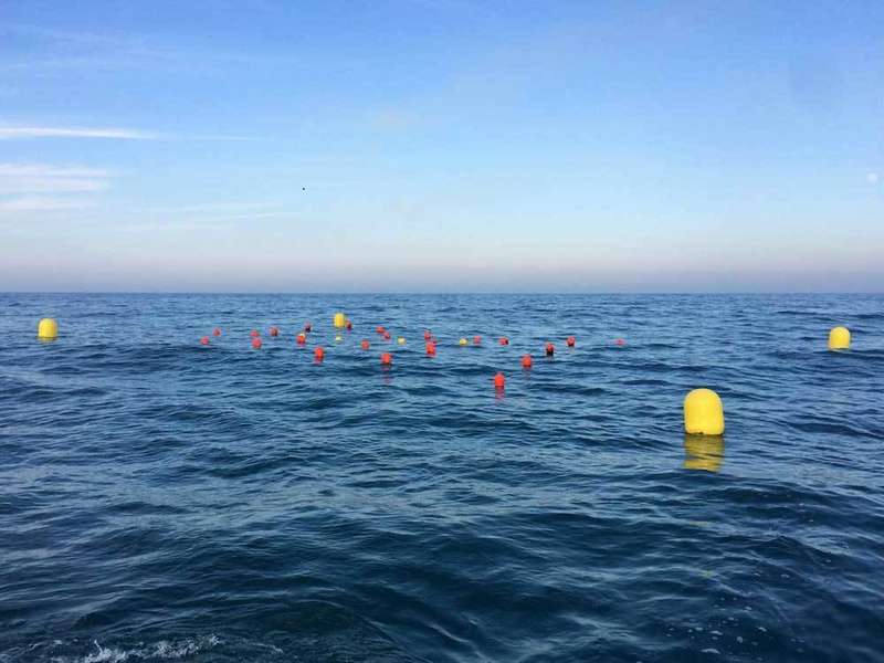 algas-asturias-parque-cultivo