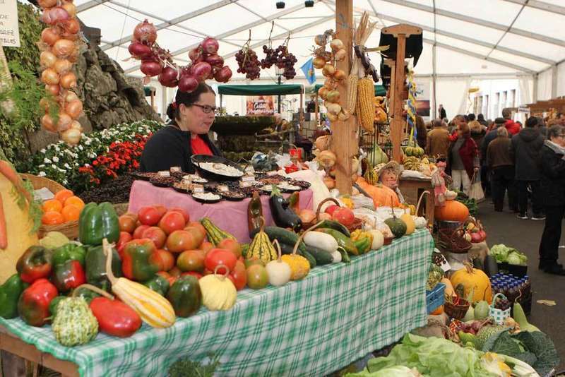 dolores-alvarez-costales