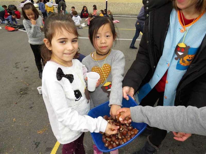 casta&ntilde;as-arriondas