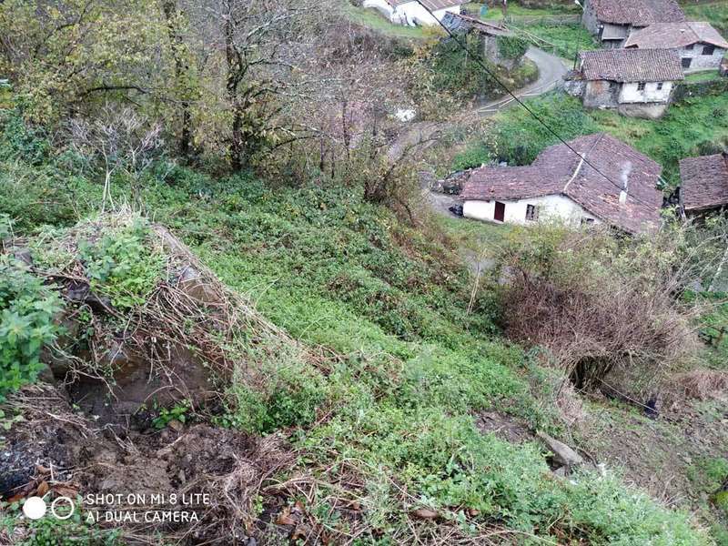 argayu-san-juan-ponga