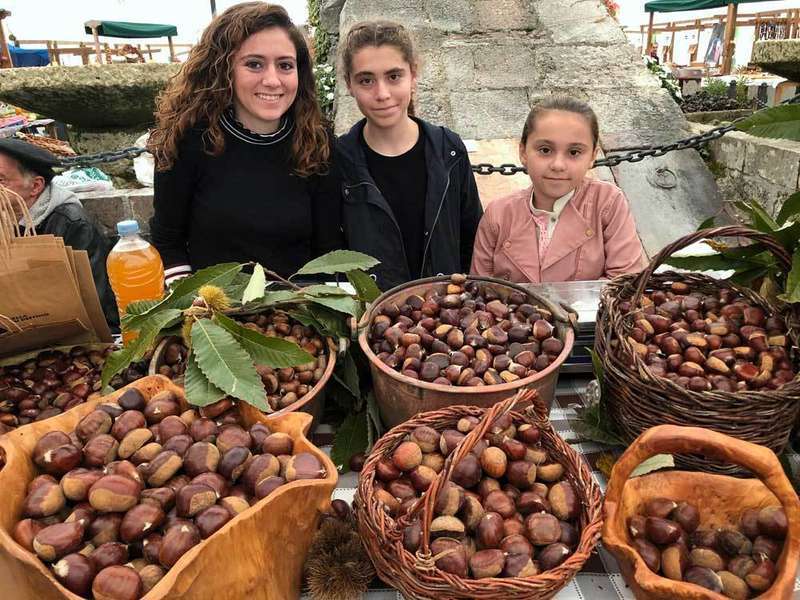 casta&ntilde;a-arriondas