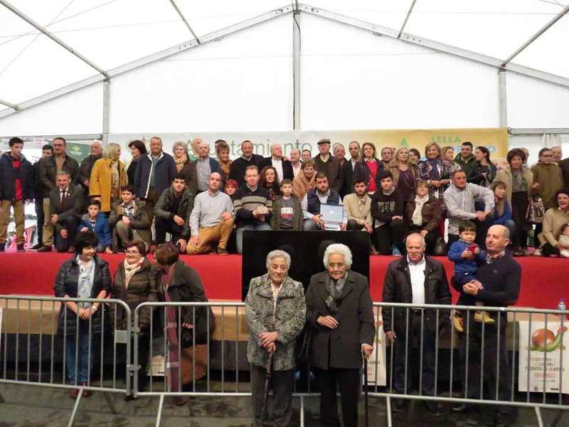 casta&ntilde;a-arriondas-llames