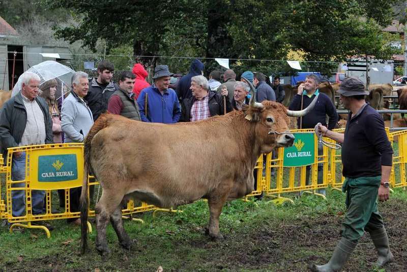 aseamo-corao-nino-rodr&iacute;guez