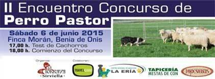 ii-encuentro-concurso-de-perro-pastor-2015-benia-de-onis.jpg