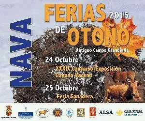 ferias-de-otono-nava-2015.jpg