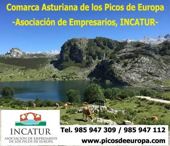 incatur-cangas-de-onis-asturias-fitur-2018.jpg