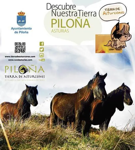pilona-asturias-tierra-de-asturcones-fitur-2019.jpg