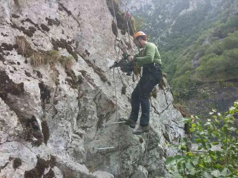 parque aventura vidosa web 2.jpg