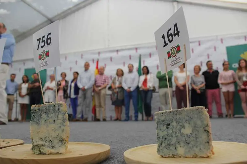 quesu web dentro.jpg