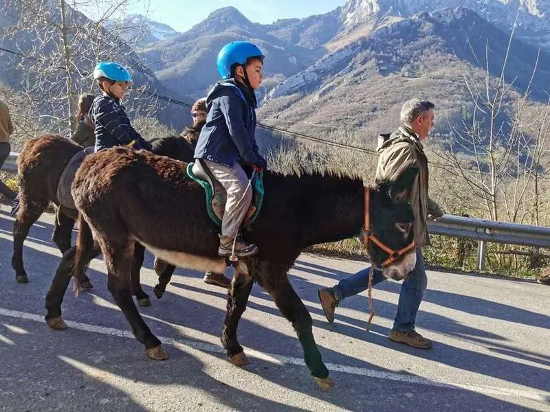 aguinaldo-guirria-ponga-2020-10