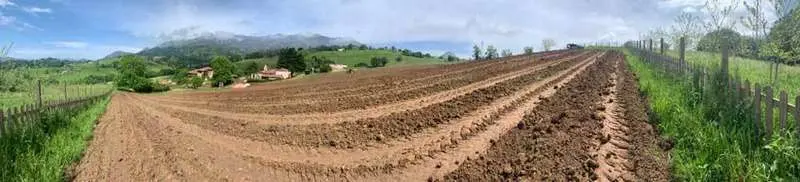 bodega-palacio-nevares