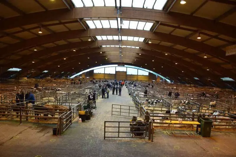 mercado-pola-siero-covid-21