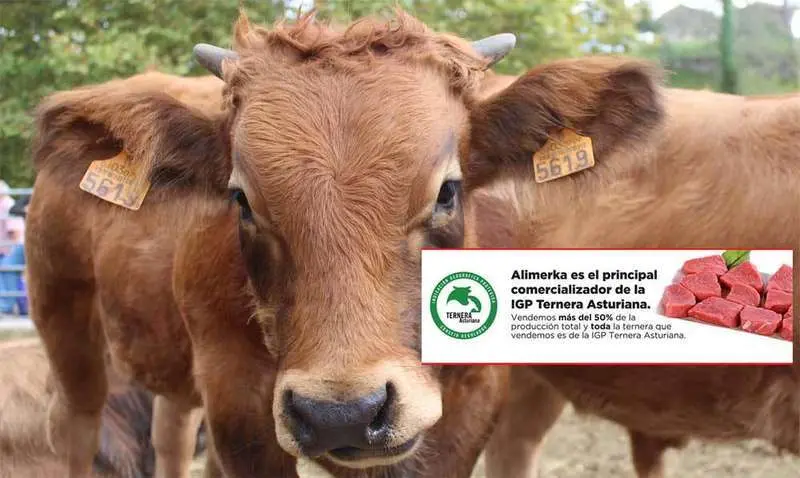 igp-ternera-asturiana-alimerka