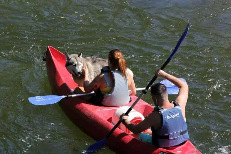Descenso del Sella con Perro [A&ntilde;o:2020]