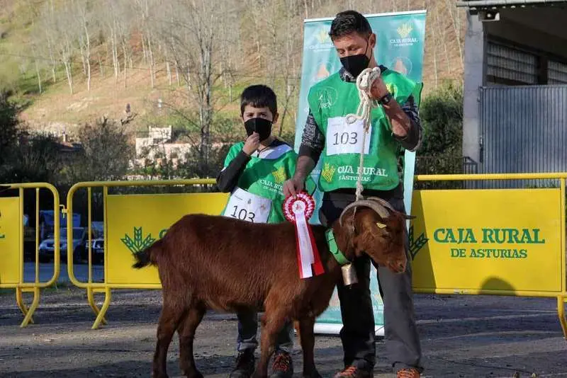 cabra-bermeya-nacional-10