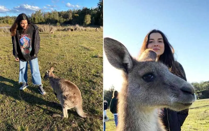 navidades-australia-01