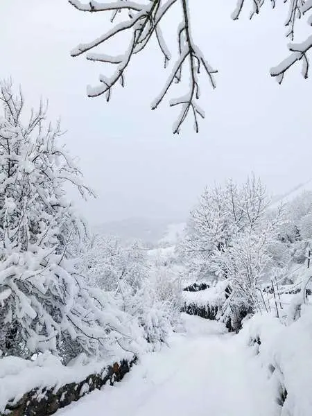 nevada-oseja-2021-01