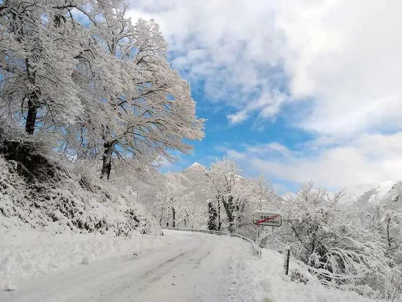 nevada-oseja-2021-04