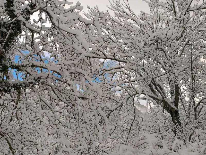 nevada-oseja-2021-05