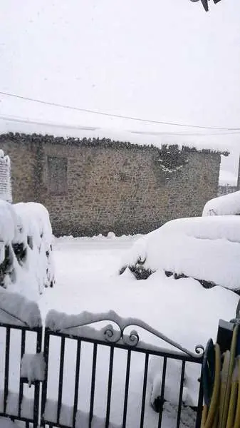 nevada-ponga-2021-01