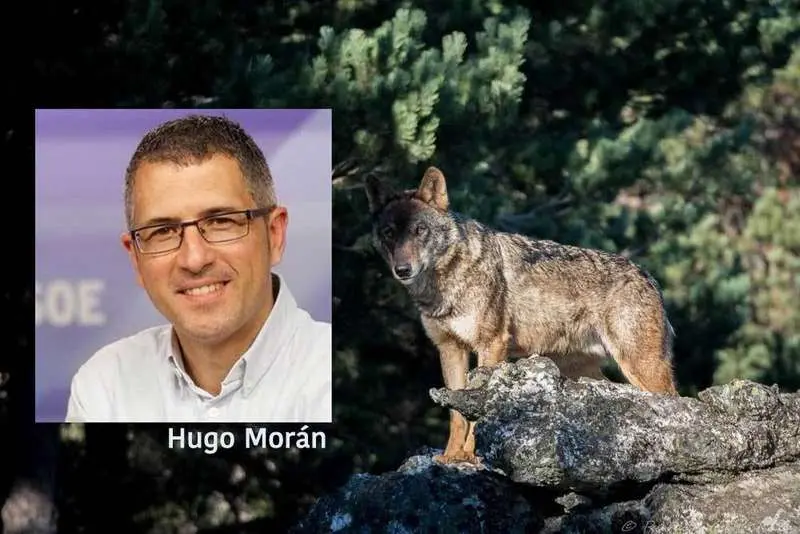 hugo-moran-lobo