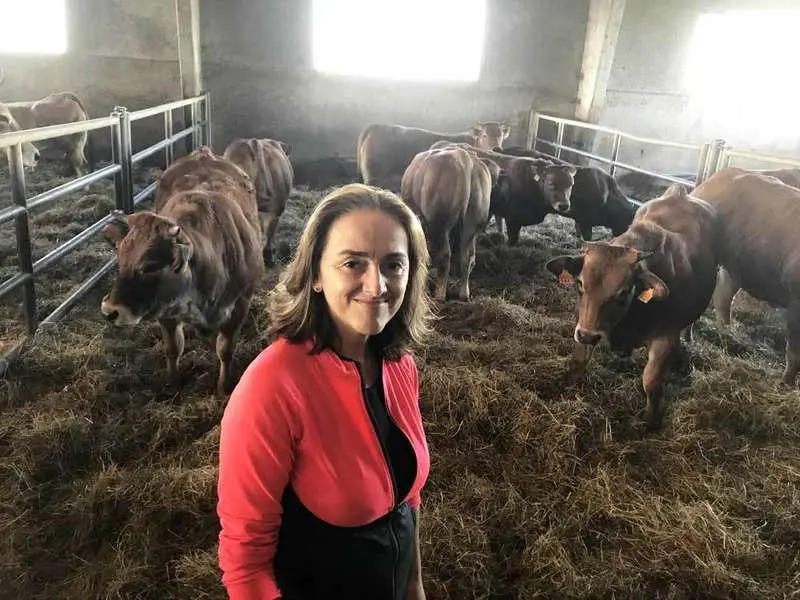 sila-aseava-bartuelo-02