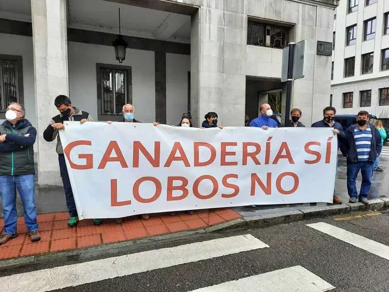 ganaderos-contra-el-lobo-oviedo-13