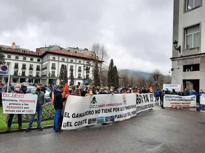ganaderos-contra-el-lobo-oviedo-15
