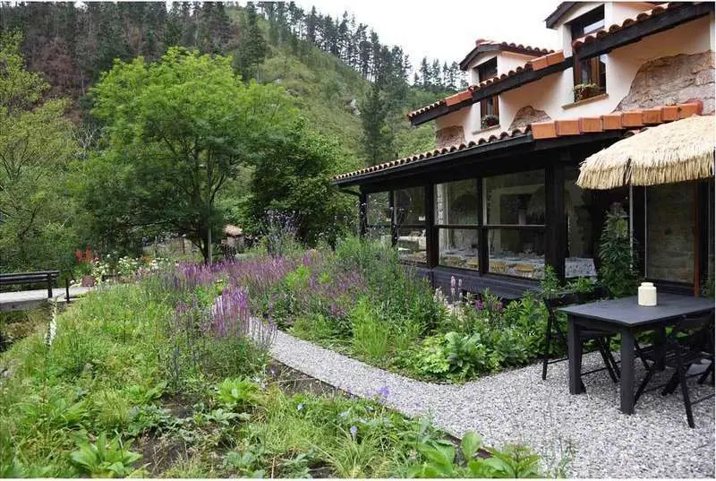 molin-mingo-todays Special-04