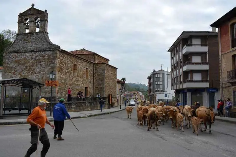 vacas-bimenes-penamayor-03