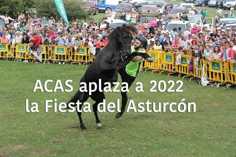 asturcon-suspendido-01