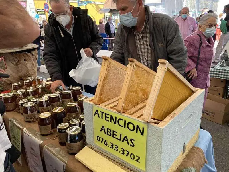 certamen-quesos-cangas-onis-37