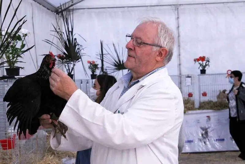 monografico-pita-infiest-08