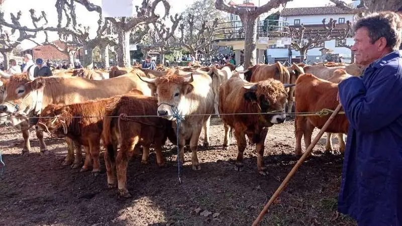 aseamo-raza-casina-porrua-07