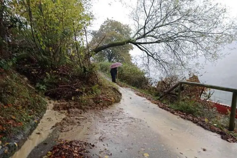 argayo-cementerio-ponga