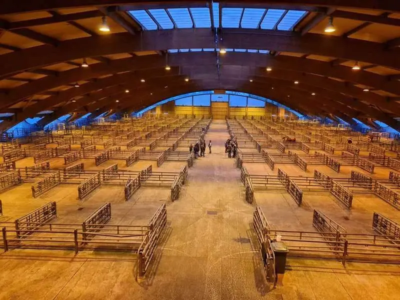 mercado-ganados-pola-siero-huelga-02