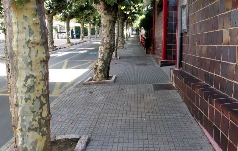 Avenida San Pedro renovaci&oacute;n INICIO NP 8 ABRIL 2022