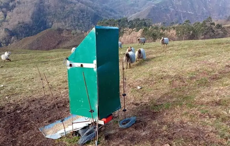 Plan Silvopastoril NP 19 ABRIL 2022 2