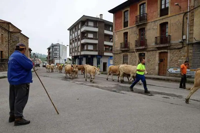 trashumancia-bimenes-12