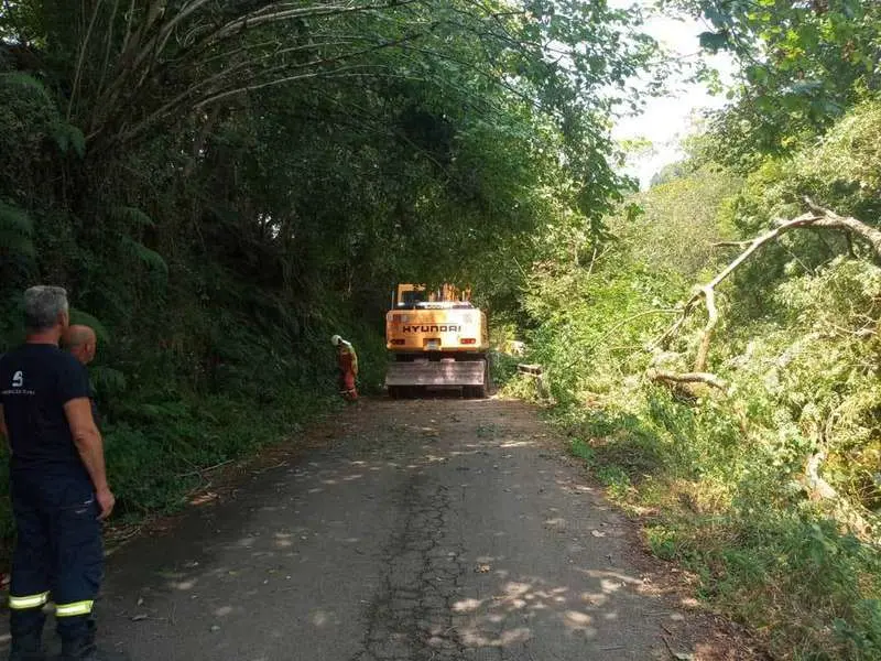 carretera-gamoneu-corte-02