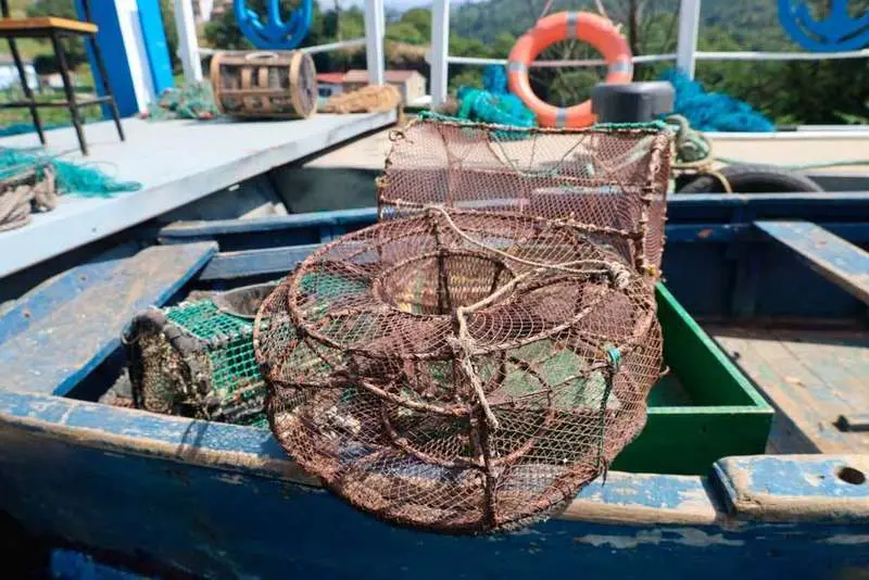 carrozas2022-valdesoto-cotiellos3