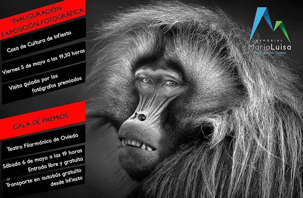 cartel-premios-memorial-maria-luisa