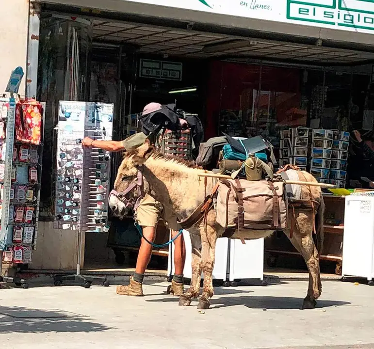 turista-burro-llanes-03