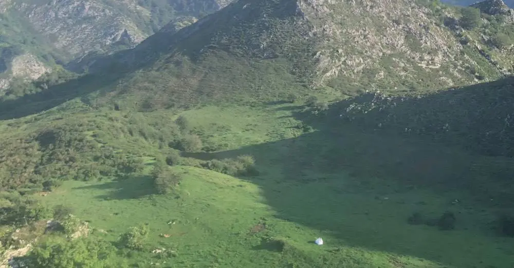 Vista a&eacute;rea de las reses muertas junto al big bag de cal viva.