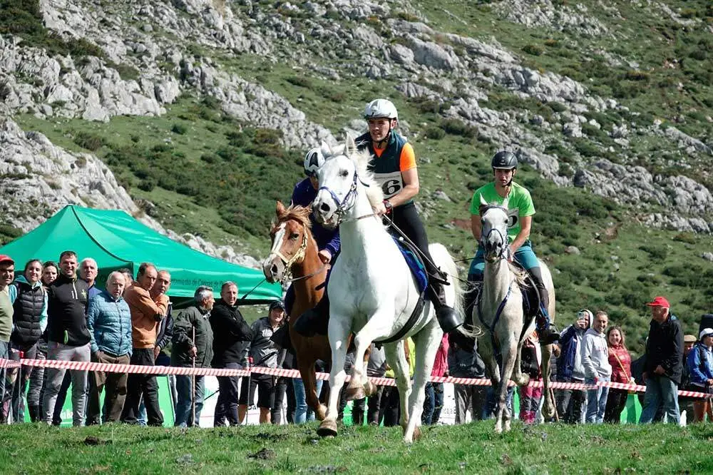 fiesta-pastor-2023-32