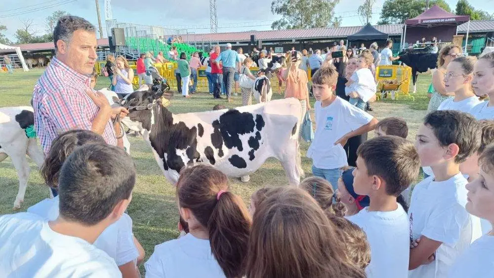 pequenos-manejadores-1