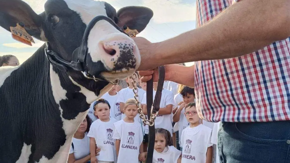 pequenos-manejadores-2